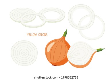 Onion. Ordinary yellow or brown onions isolated on white. Whole bulb, half, chopped rings. Flat design for menu, cafe, restaurant, farmers market, vegetarian recipe. Vegetable Ingredients for cooking