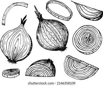 Onion outline drawn  icon set. Pile of onion bulbs, bunch of fresh green onions and rings. 