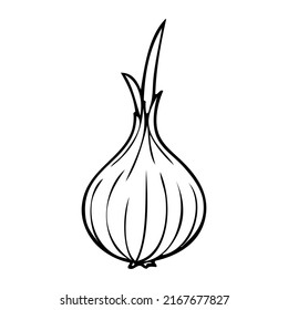 onion outline illustration,isolated on white background,top view