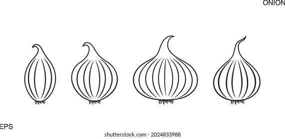 Onion outline. Isolated onion on white background