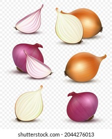 Onion realistic. Natural healthy sliced vegetables decent vector 3d onion products illustration isolated