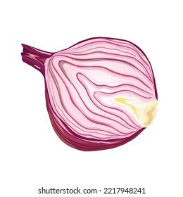 onion red cartoon. purple food, fresh slice, half organic, vegetable cut, harvest cooking, sweet raw onion red vector illustration