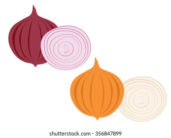 Onion And Red Onion Vector.