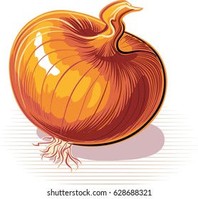 Onion, resting on a plane.