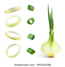  onion rings. Cut the onion in half. Vector illustration.