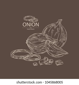 Onion: rings, full onion and onion slices. Vector hand drawn illustration.