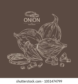 Onion: rings, full onion and onion slices. Vector hand drawn illustration.