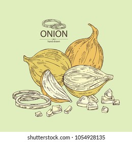Onion: rings, full onion and onion slices. Vector hand drawn illustration.