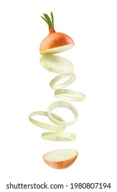 Cebolla. Anillos de cebolla. Ilustración vectorial.