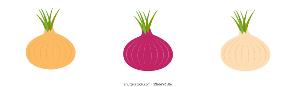 Onion ripe bulb with green sprout icon set line. Red yellow color. Vegetable collection. Fresh farm healthy food. Education card for kids. Flat design. White background. Isolated. Vector illustration