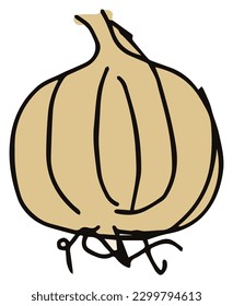 Onion Rough hand drawing Cute
