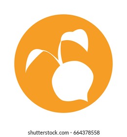 Onion round icon