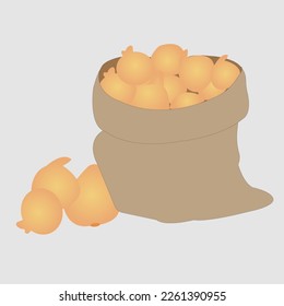 Onion sack vector illustration in brown colors 
