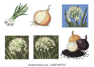 onion seed, onion plant, onion file circle, onion flower, cultivation vector illustration design  