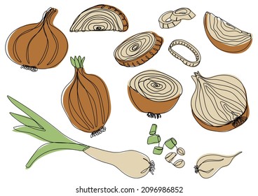 Onion set. Bulbs and halved, sliced. Farm market concept. Vector illustration of vegetables