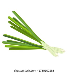 Onion. Onion set. Onion feathers. Vegetable harvest. Green color. Herbaceous plant. Spice. It is used in cooking, in medicine, cosmetology. Graphic drawing. Cartoon style