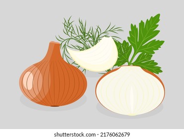 Onion set in flat style. Vector illustration 