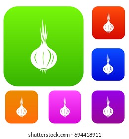 Onion set icon in different colors isolated vector illustration. Premium collection