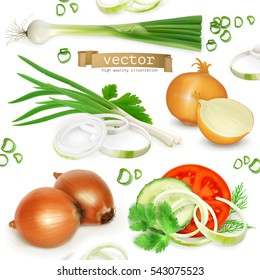 Onion set, realistic vector icons