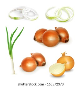 Onion Set, Vector Illustration