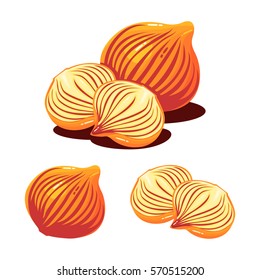 Onion Shallot Vector Image Illustration