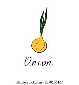 Onion sign. Fresh Vegetable isolated icon. Onion for farm market, vegetarian salad recipe design. vector illustration in flat style.