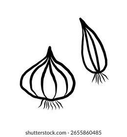 Esboço de cebola em fundo isolado em estilo minimalista. Rabiscar com bulbos vegetal, vitamina, ingrediente saudável. Ilustração vetorial de alimentos para rótulo, cartão, impressão, sinal, logotipo, menu. Desenho da mão