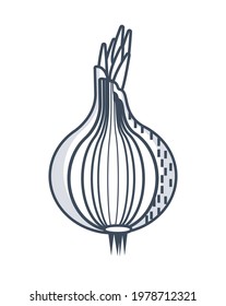 onion sketch organic food icon