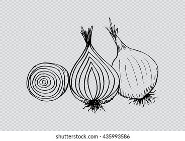 Onion. Sketchy style