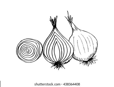 Onion. Sketchy style.