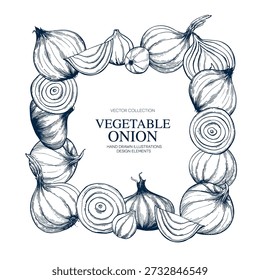 Onion, slice hand drawn Isolated vector illustration. Health food produce. Greeting card templates, restaurant menu, packaging. Detailed botanical sketches. Pencil drawing. Engraving style