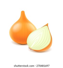 Onion and slice isolated on white photo-realistic vector illustration