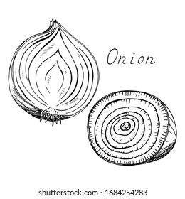 Onion. Sliced vegetable. Ink botanical vintage illustration. Isolated clipart set on white background.