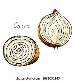 Onion. Sliced Vegetable. Ink Botanical Vintage Illustration. Isolated Clipart Set On White Background. Hand-drawn Ink Sketch.