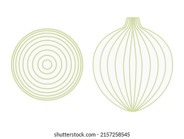 Onion and onion slices. Healthy and delicious food. Vector graphics on a white background.
