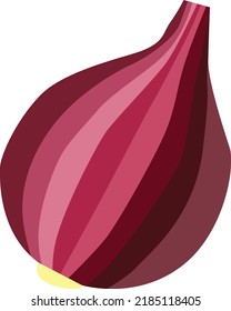 onion small and big sliced vector illustration