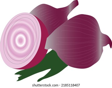 onion small and big sliced vector illustration