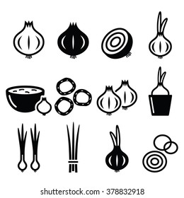 Onion, Spring Onions Icons Set 