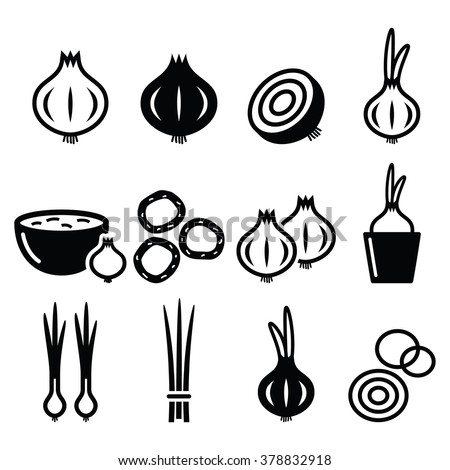 Onion, spring onions icons set 