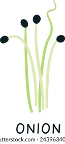 Onion Sprouts Microgreen Vector Illustration