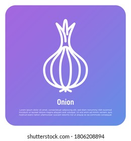 Onion thin line icon. Vegetable, flovouring. Healthy organic food. Vector illustration.