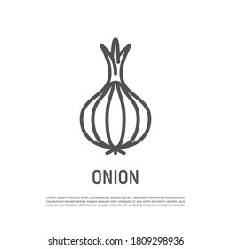 Onion thin line icon. Vegetable, flovouring. Healthy organic food. Vector illustration.