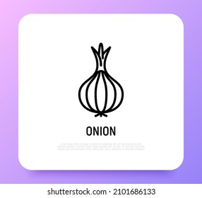 Onion thin line icon. Vegetable, flovouring. Healthy organic food. Vector illustration.
