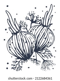 Onion with twigs and dill seeds. Hand drawn in vintage style. Flat vector illustration. EPS10