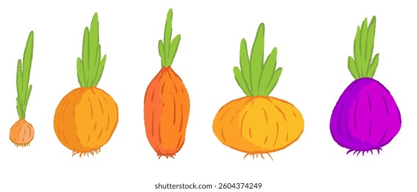 Onion various shapes and color in hand drawn cartoon style. Collection fresh delicious vegetables. Flat vector cute illustration healthy products for print, textile, child book.