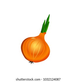 Onion vector cartoon