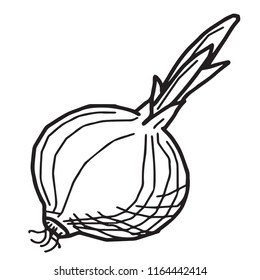 onion. vector illustration