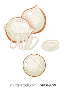 onion vector illustration