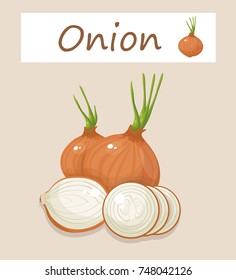 onion vector illustration
