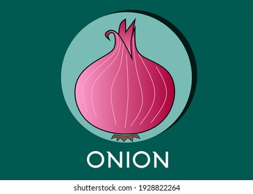Onion vector illustration with background 